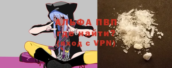 СК Михайловск