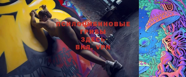СК Михайловск