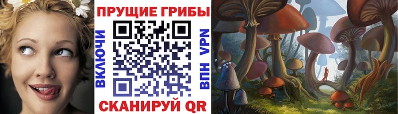 Галлюциногенные грибы Cubensis  OMG сайт  Тихорецк 